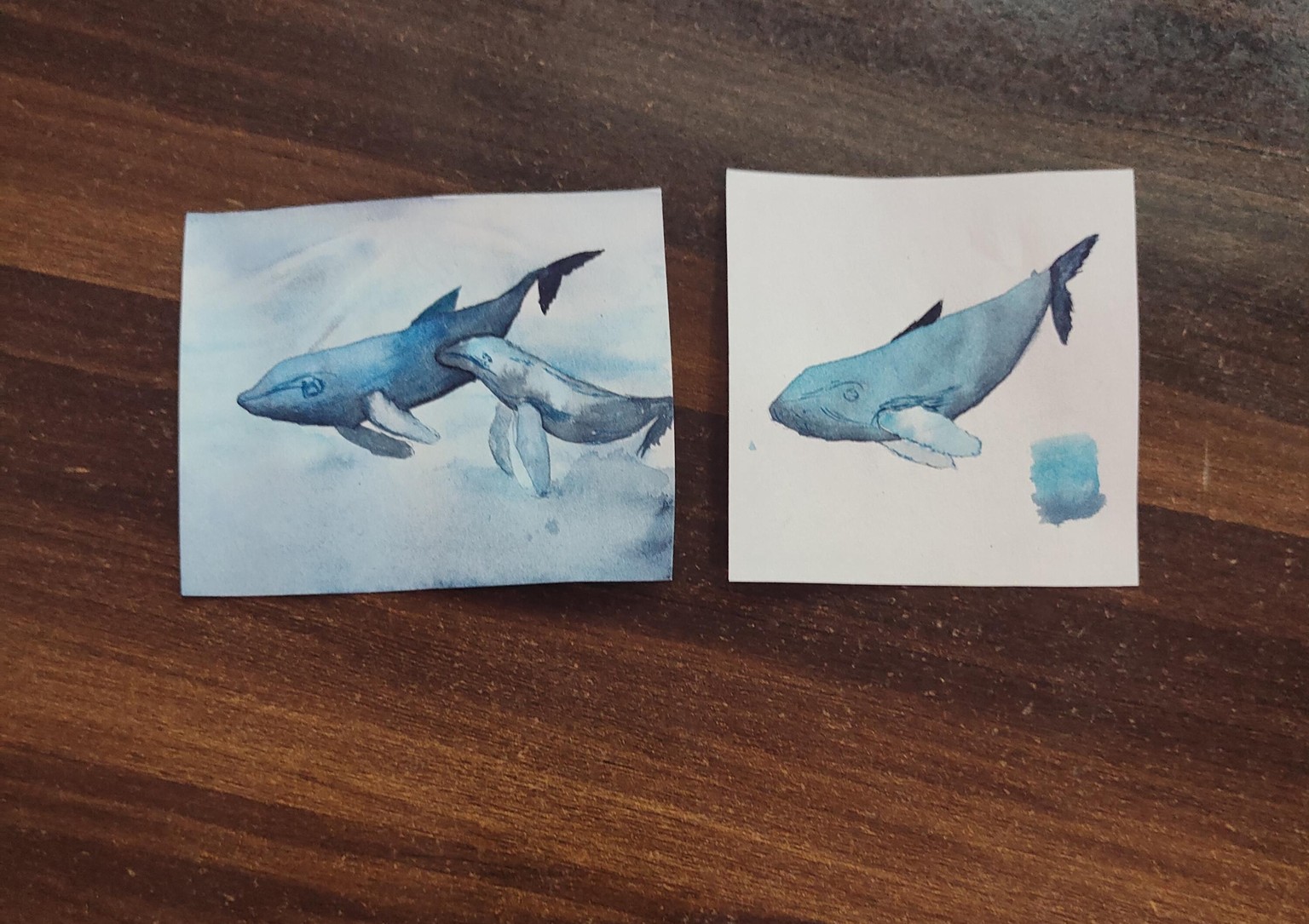 7/7 continents - image 2 - student project