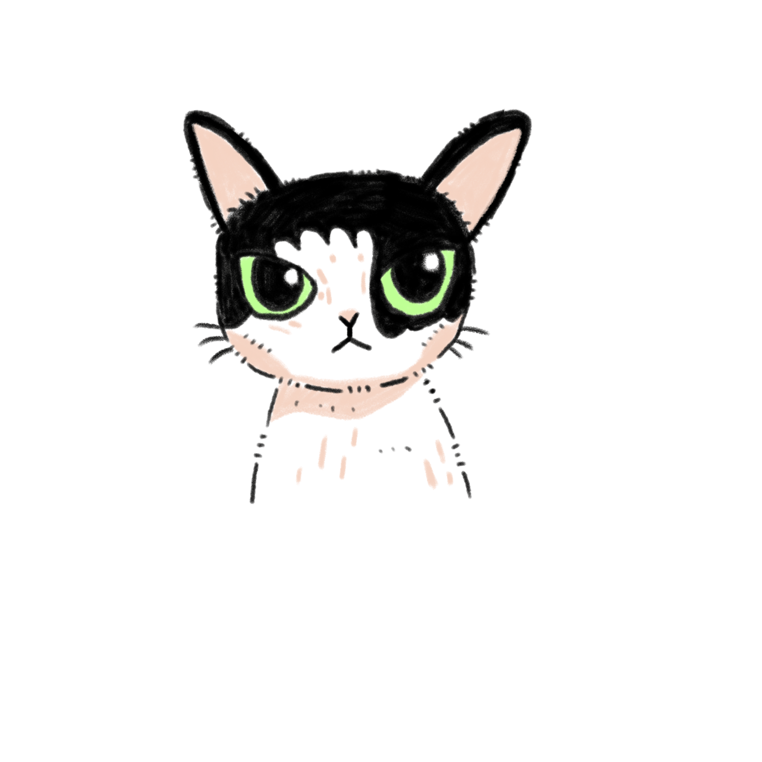 Chats - image 5 - student project
