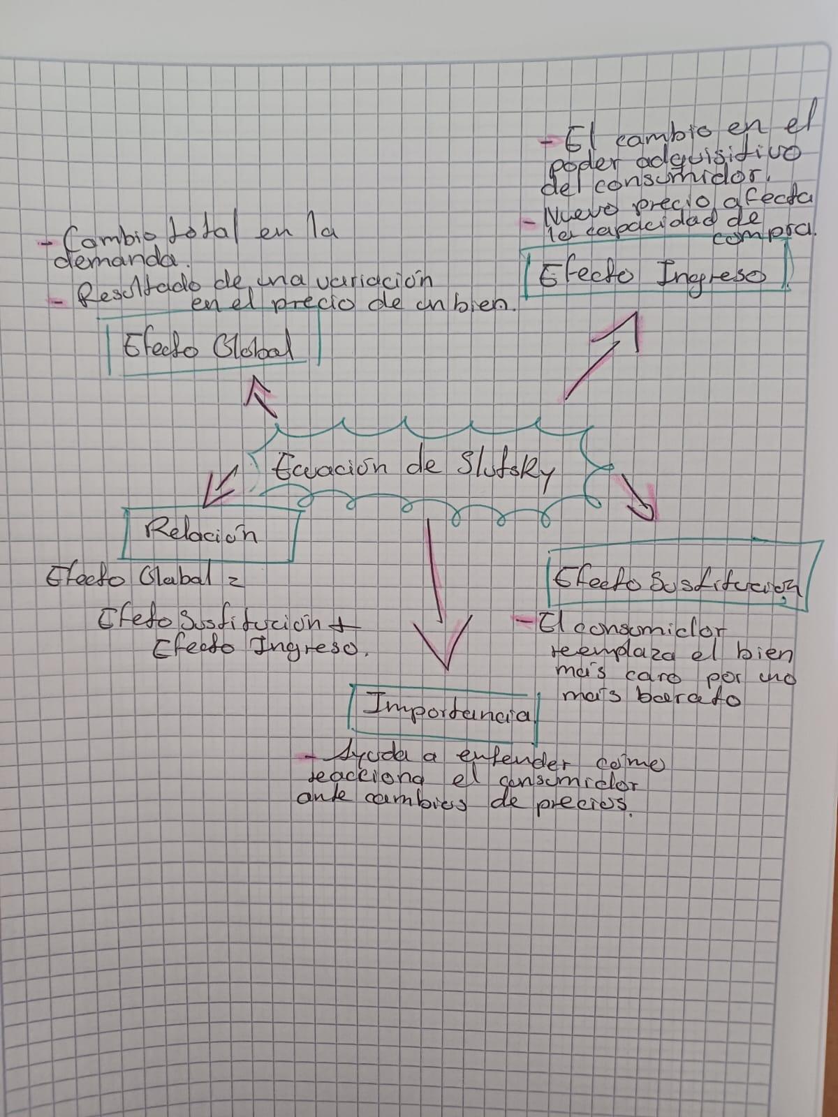 Mapa mental sobre la ecuación de Slutsky - image 1 - student project