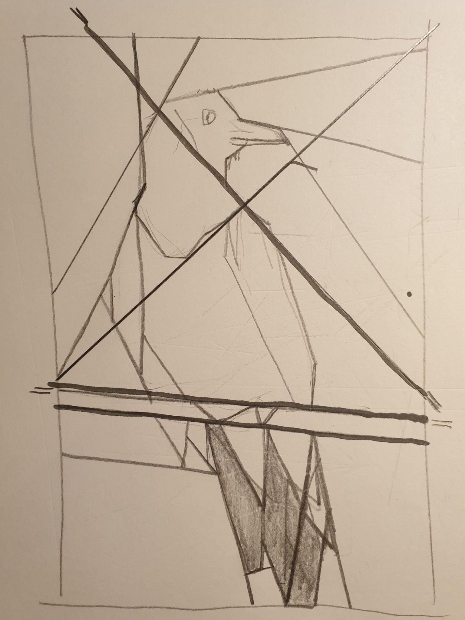 FPP Raven - image 1 - student project