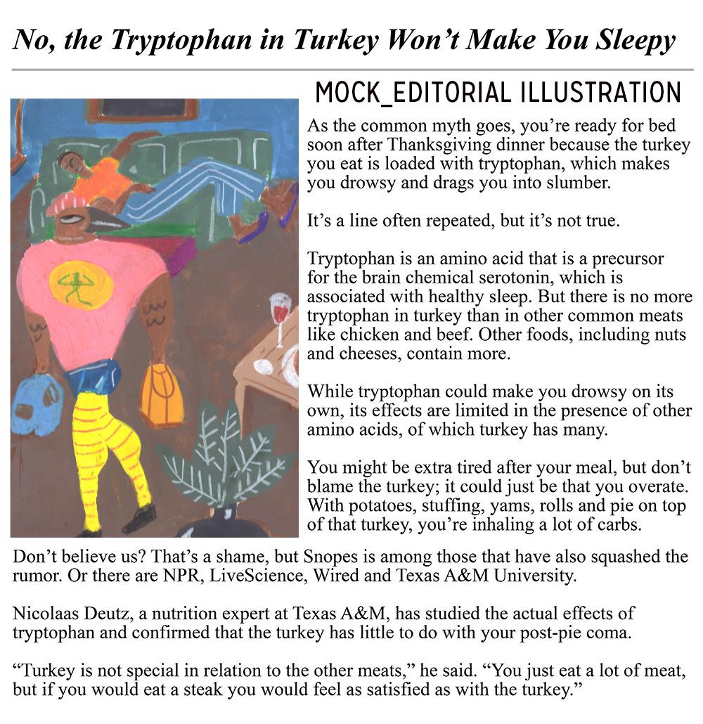 Turkey don't make ya sleepy - image 2 - student project