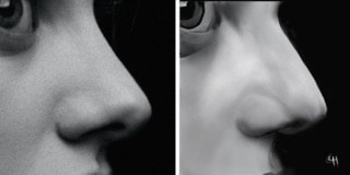 Nose - image 2 - student project
