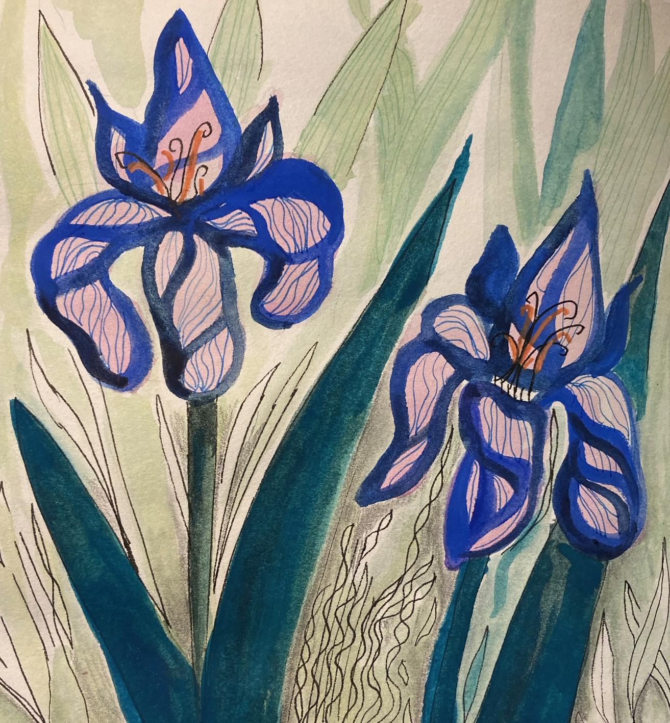 iris - image 1 - student project