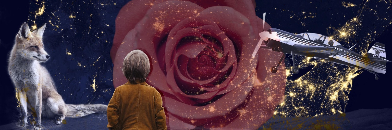 The Little Prince - image 1 - student project
