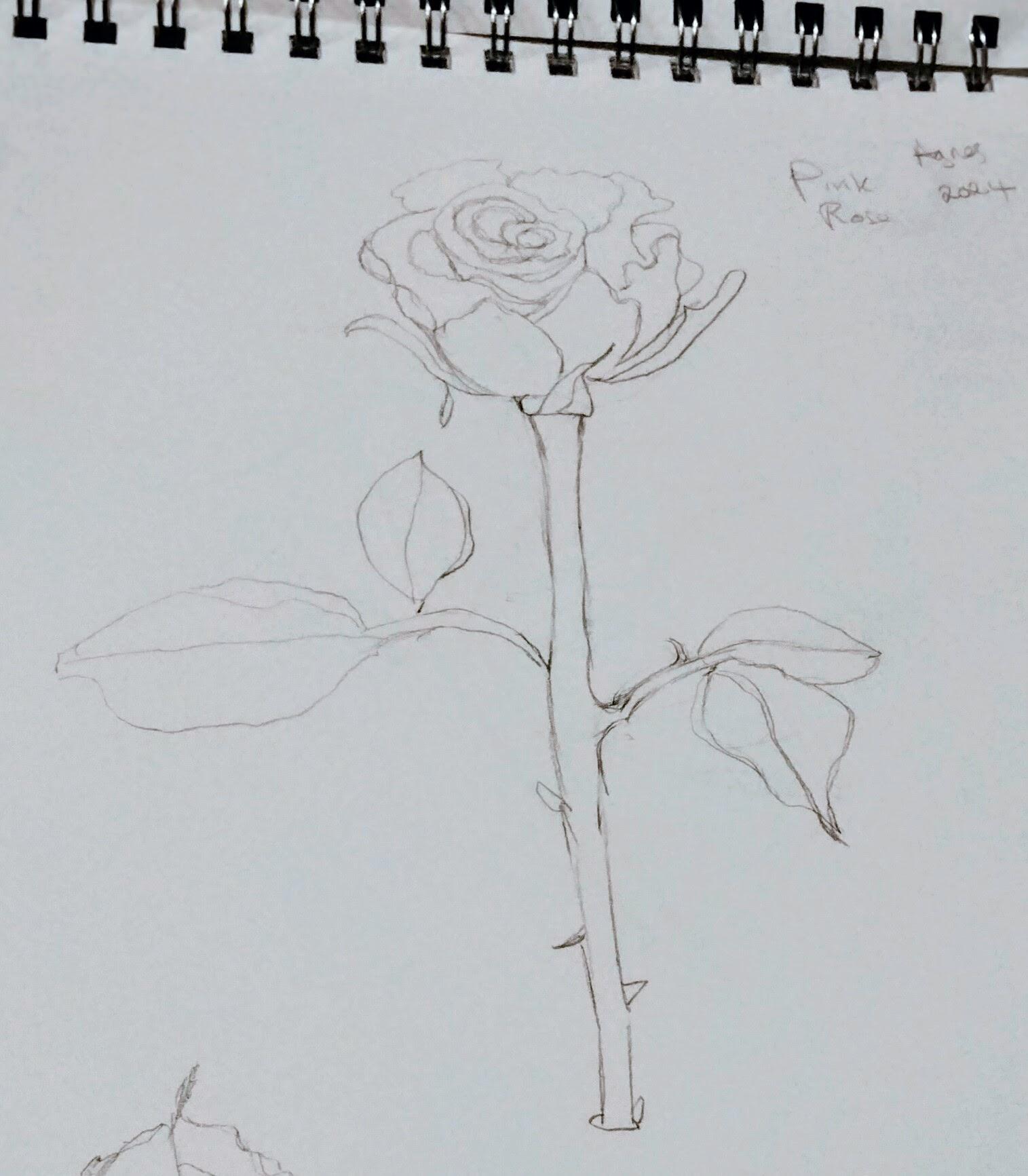 garden rose dark background - image 2 - student project