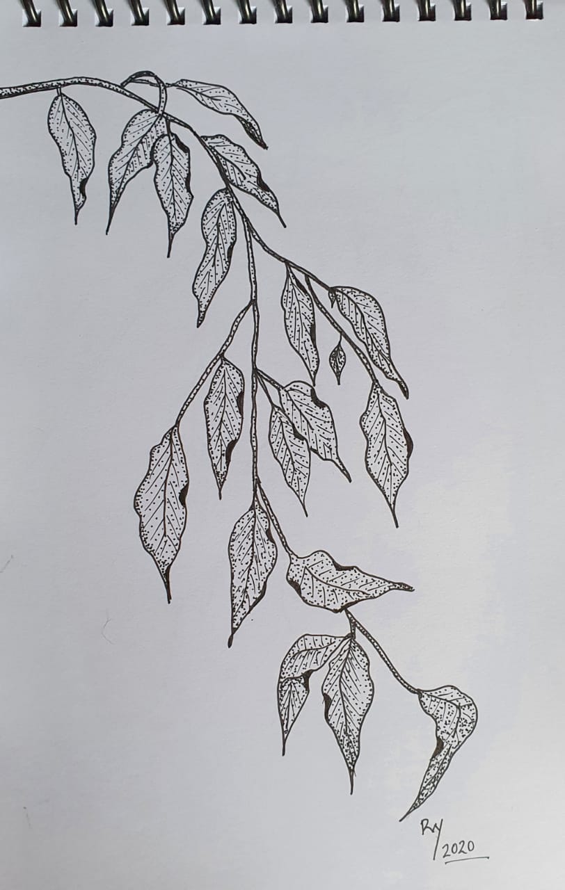Leaves... - image 1 - student project