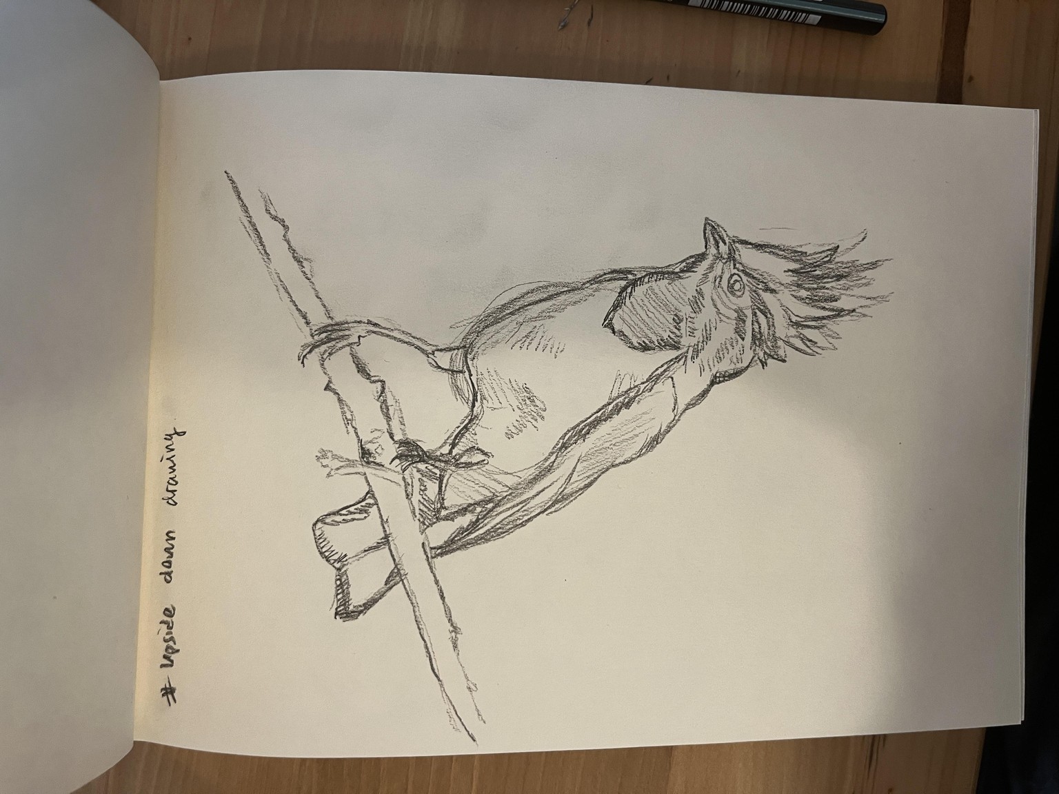 Exercise 1-4 - image 1 - student project