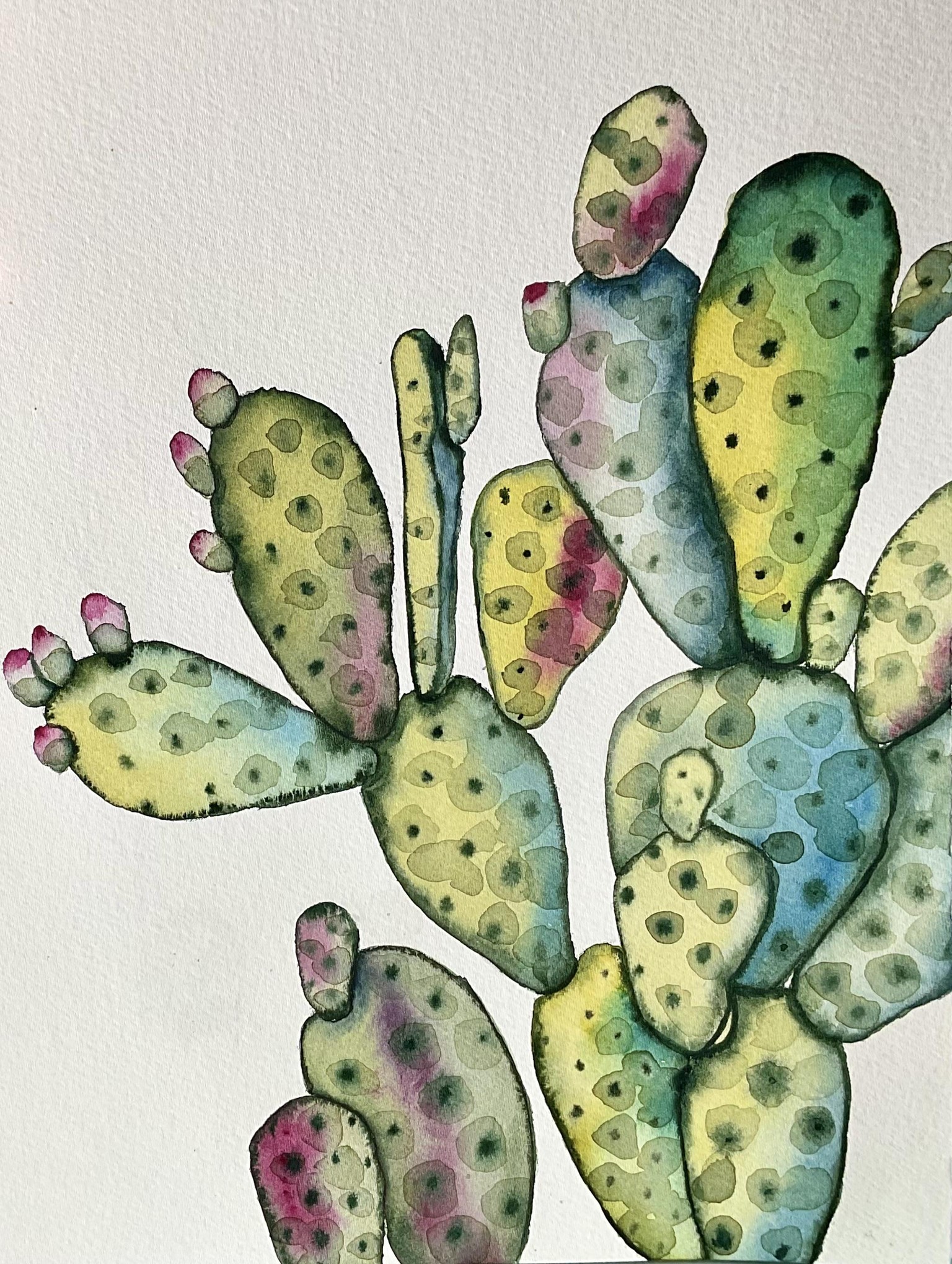 Jewel-toned Botanicals - image 1 - student project