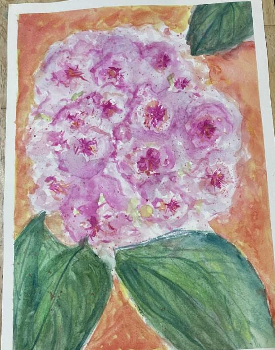 Hydrangea - image 1 - student project