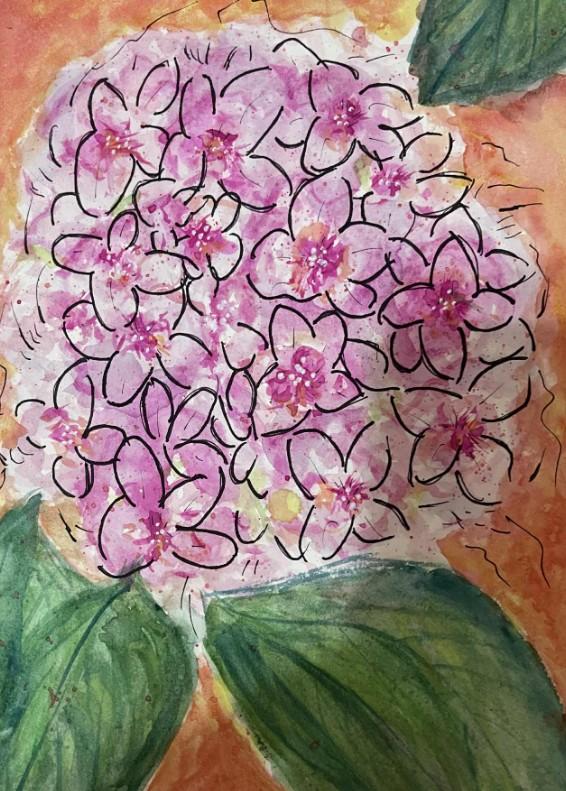 Hydrangea - image 2 - student project