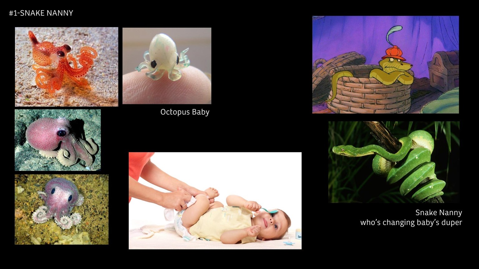 BURGLARS / SNAKE NANNY / BLIND MAN - image 8 - student project