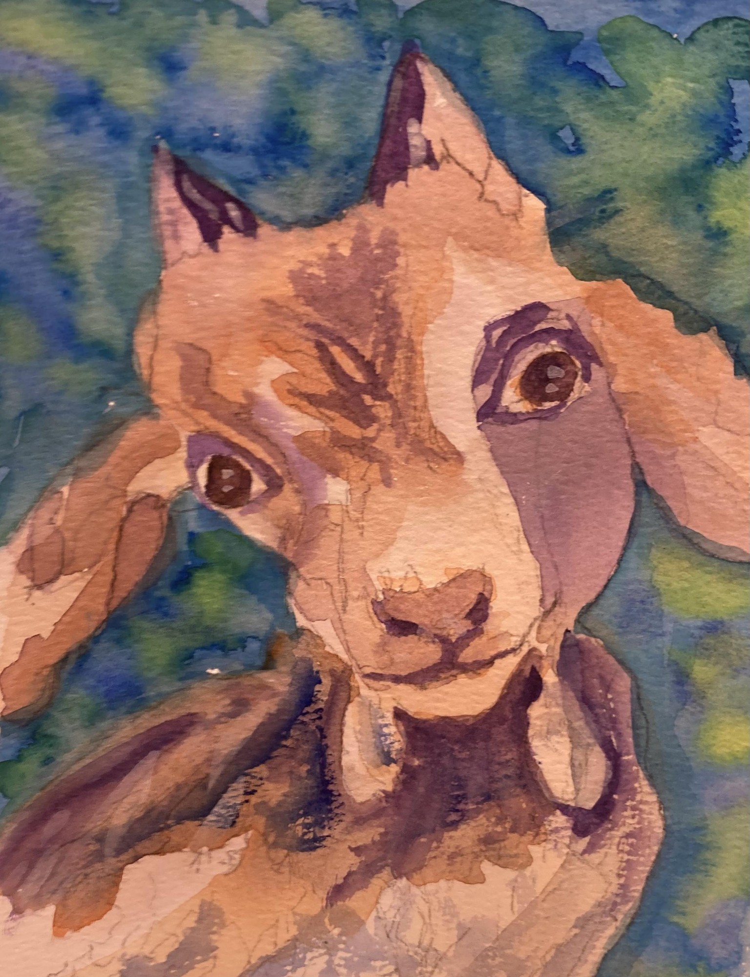 Painterly Pet Portraits Oct. 2022 - image 1 - student project