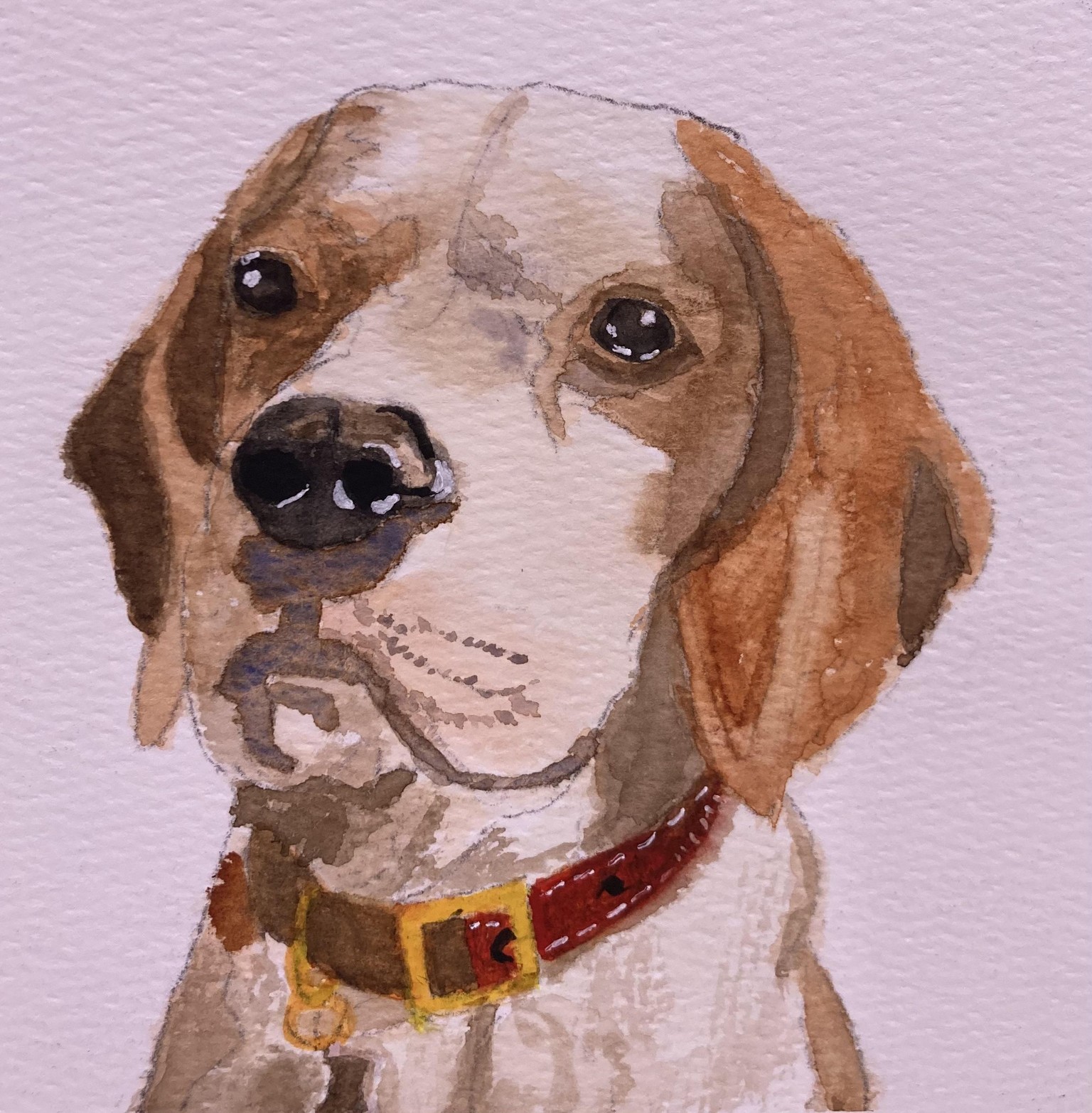 Realistic Dog - 5/27/25 - image 1 - student project
