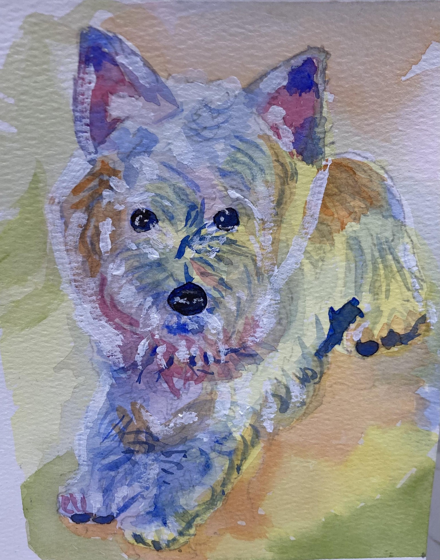 Painterly Pet Portraits Oct. 2022 - image 2 - student project