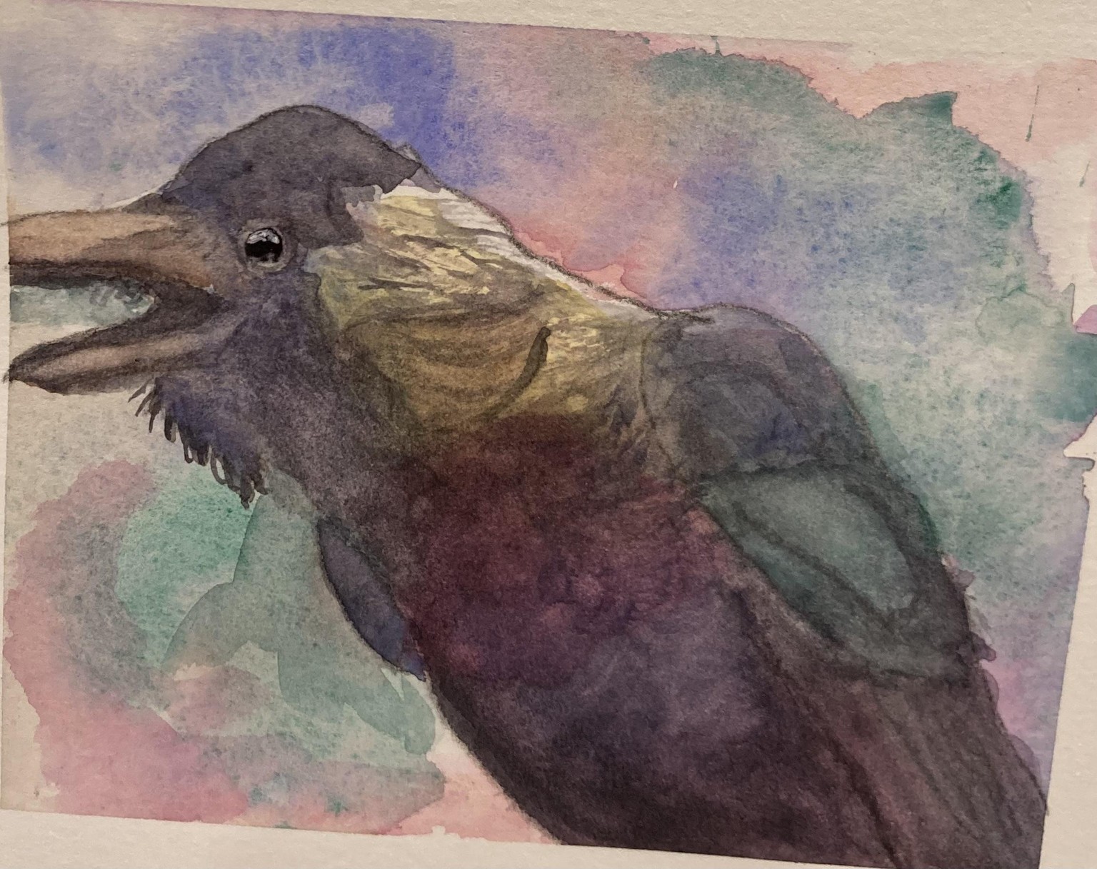 Crow - 3/24/24 - image 1 - student project