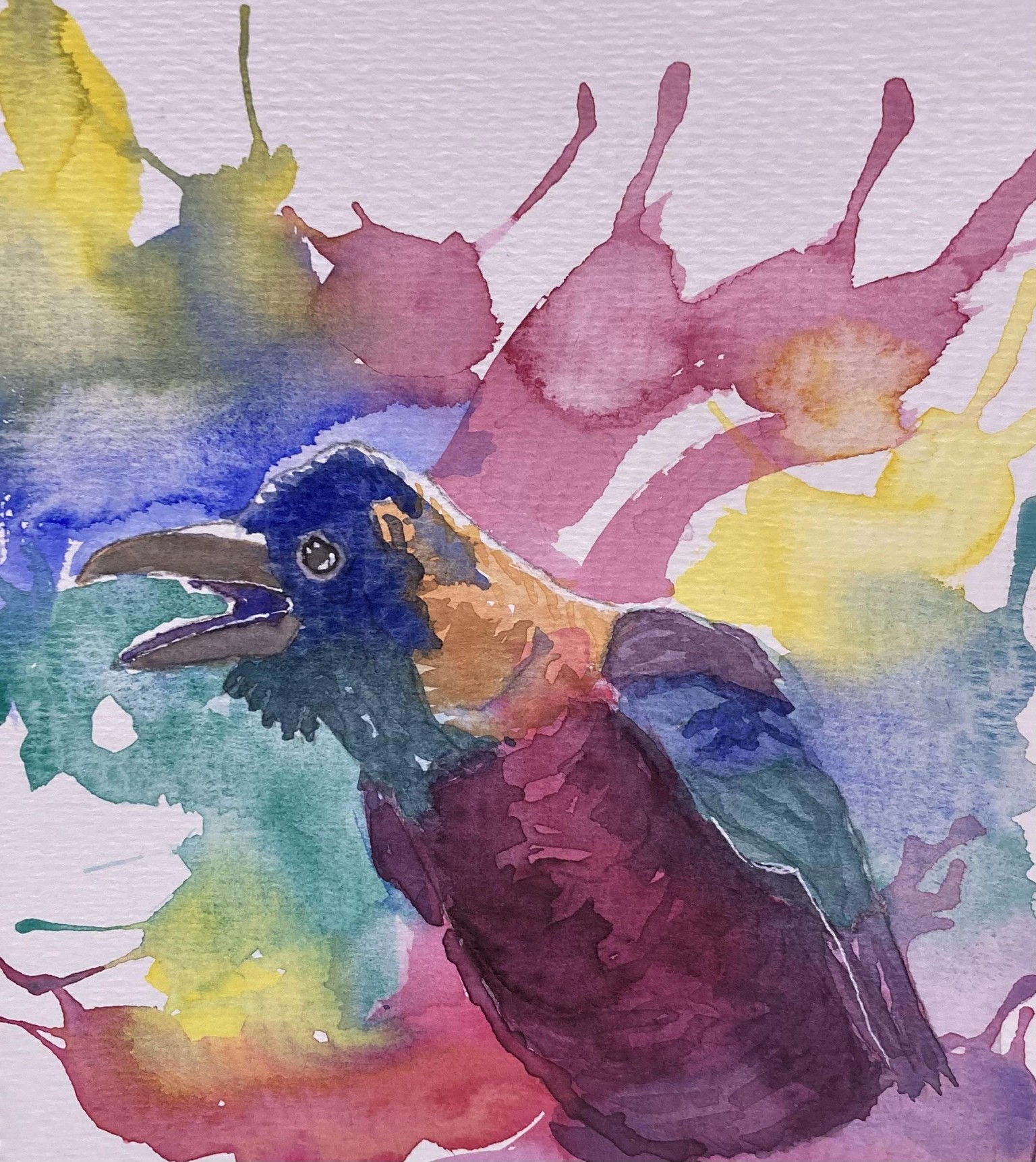 Crow - 3/24/24 - image 2 - student project