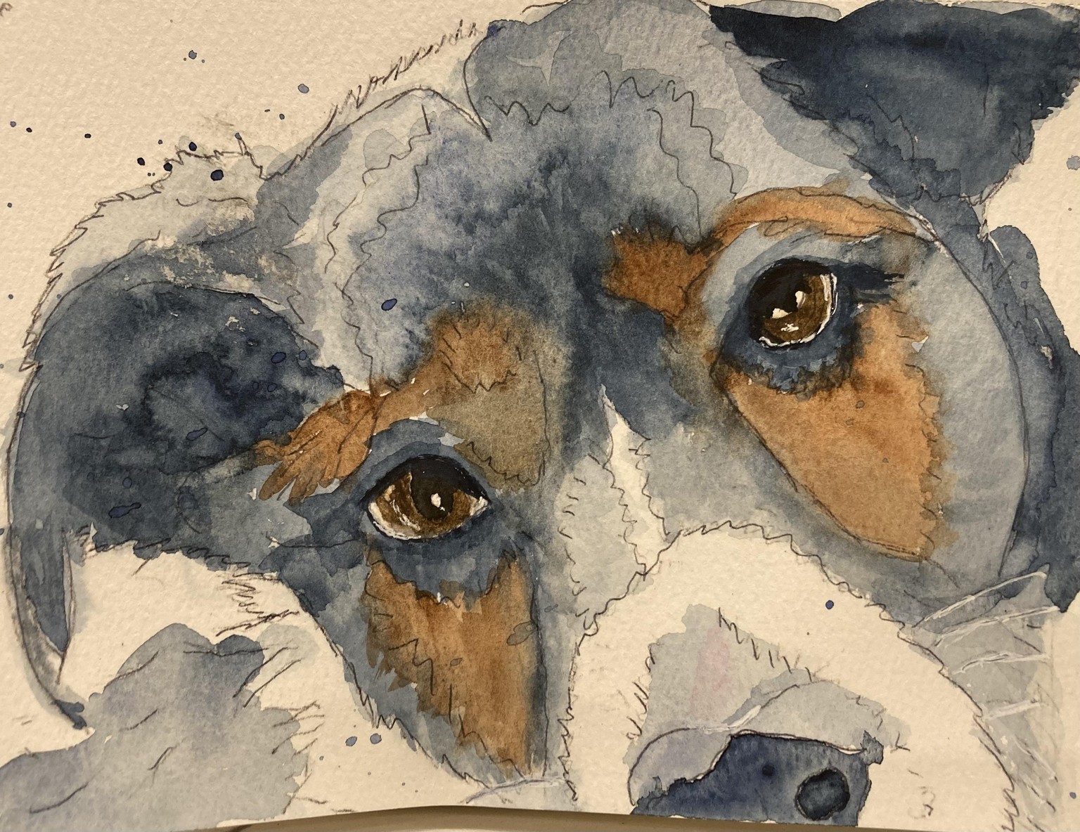 Dog portrait - 12-26-2022 - image 1 - student project