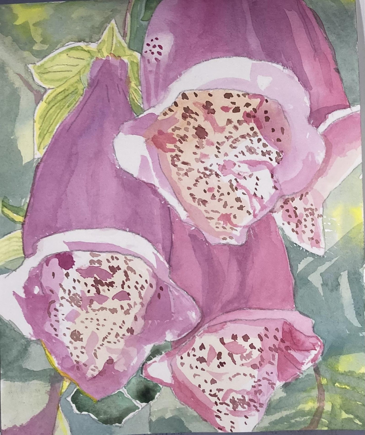 Foxglove - Mar. 20, 2024 - image 1 - student project