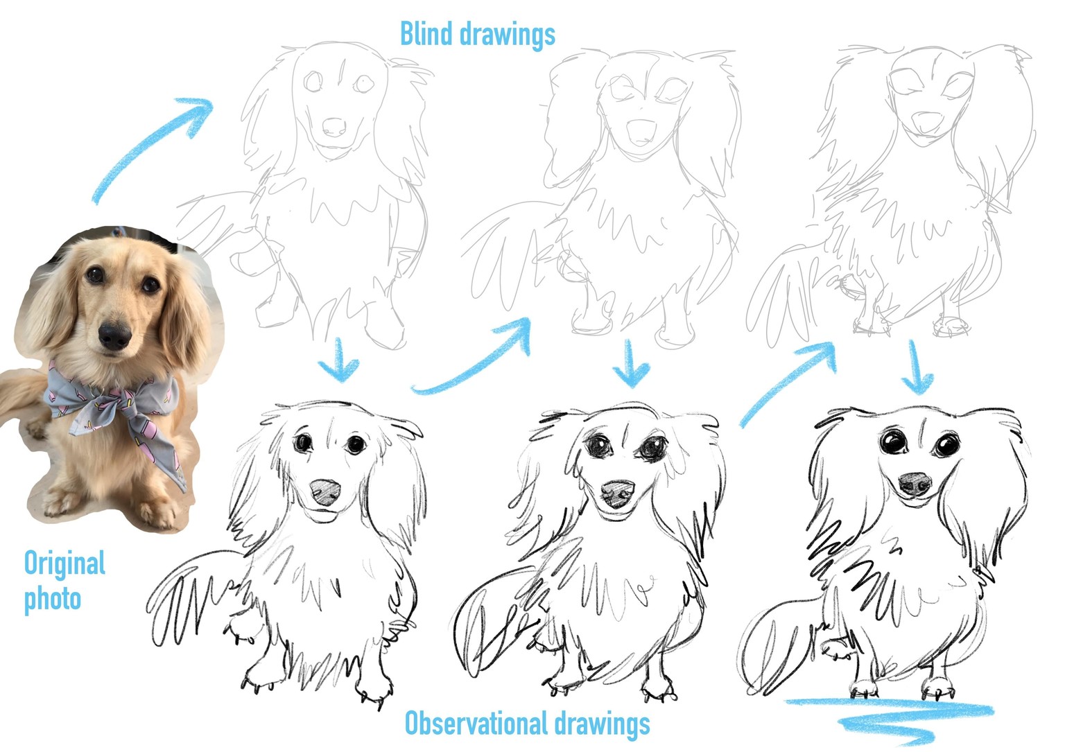 Daisy Dog character design - image 1 - student project