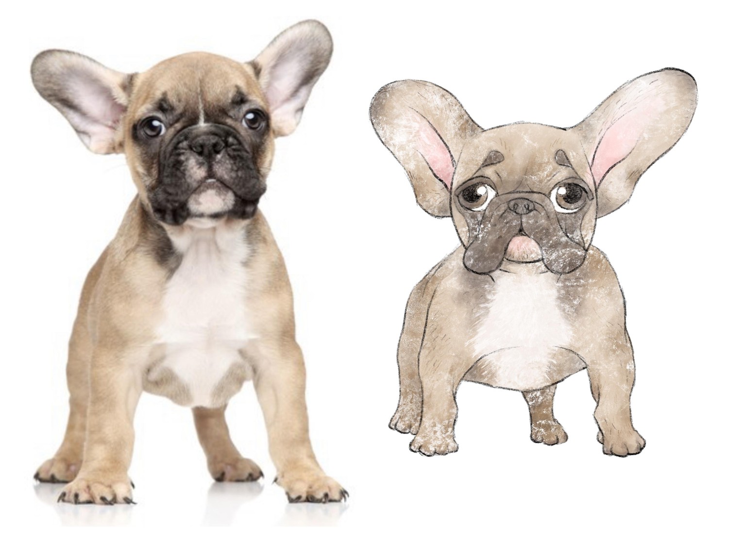 Daisy Dog character design - image 6 - student project