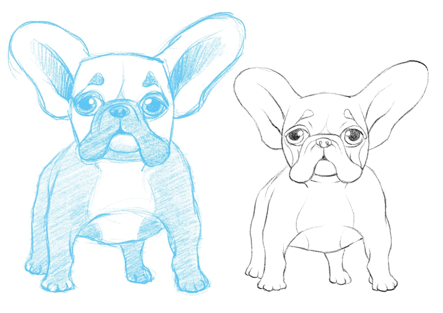 Daisy Dog character design - image 5 - student project