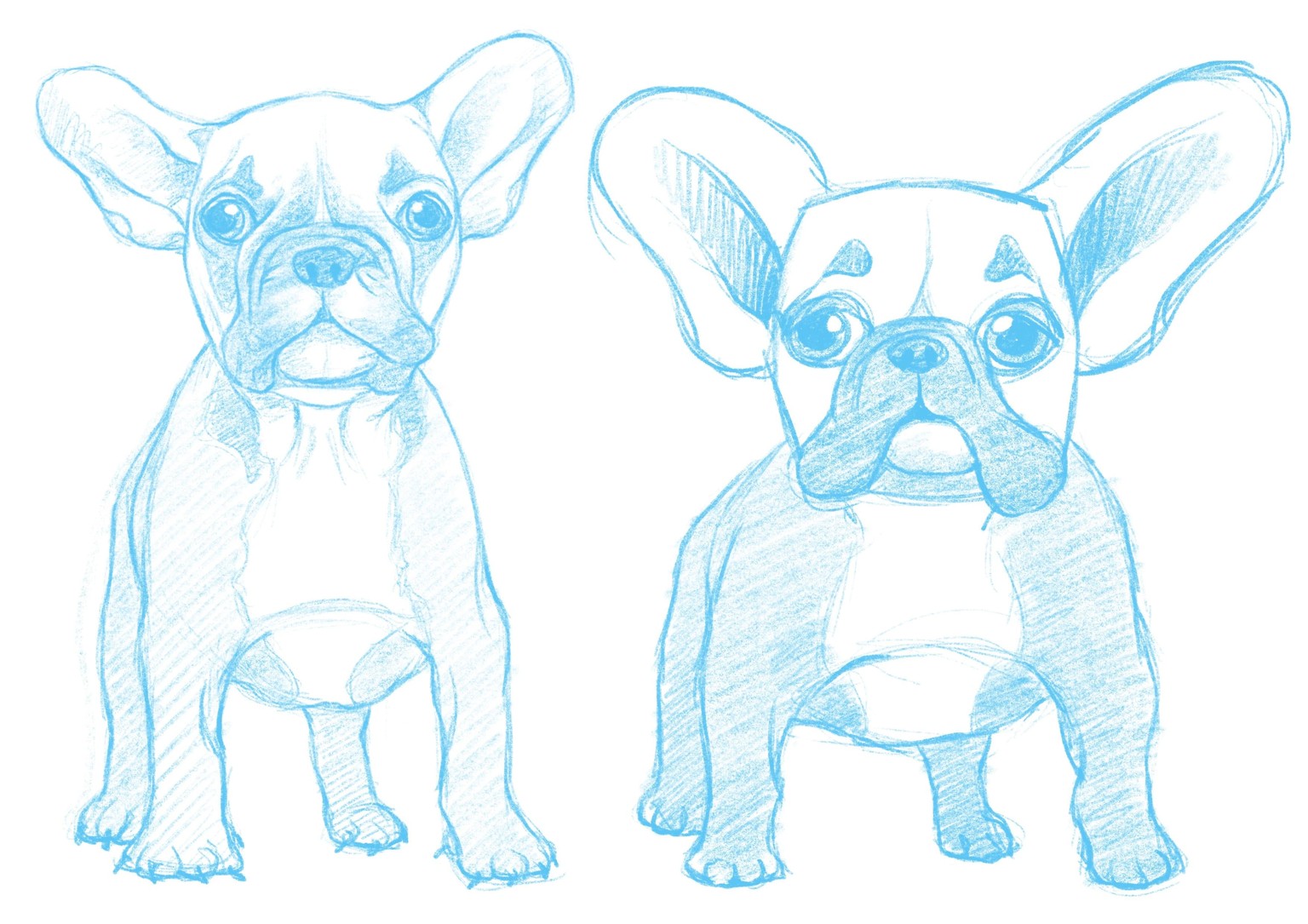 Daisy Dog character design - image 4 - student project