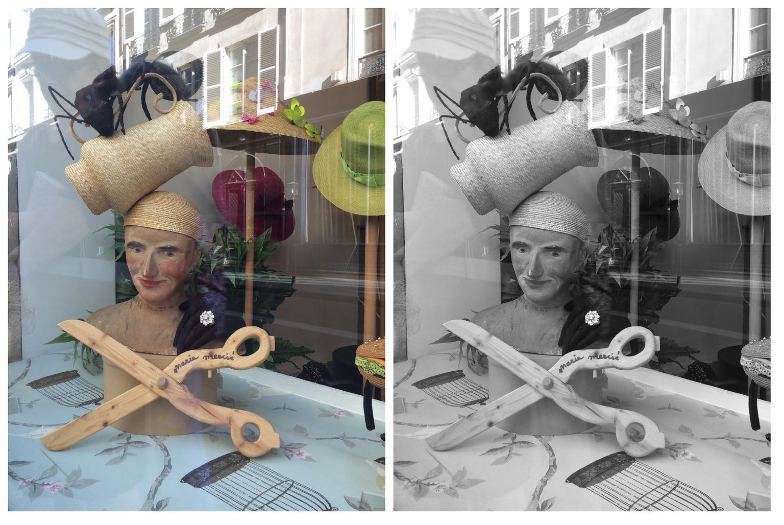 More Examples of Design Options - image 5 - student project