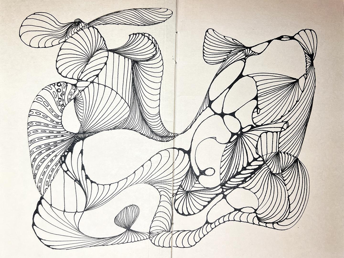 Continuous Line Automatic Drawing Notecard - image 2 - student project