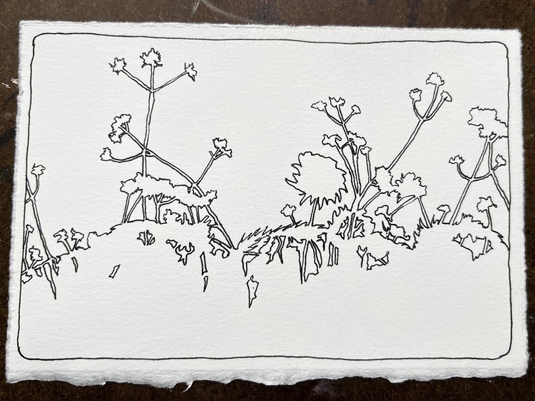 Negative Space Shapes - botanicals against blue sky - image 1 - student project