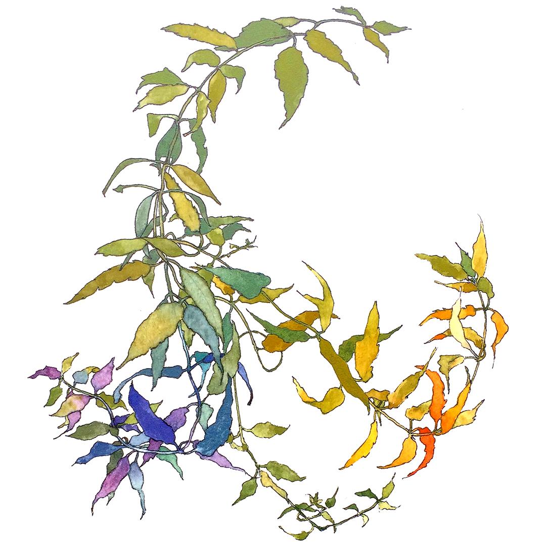 Changing Colors in a Puddle - image 5 - student project