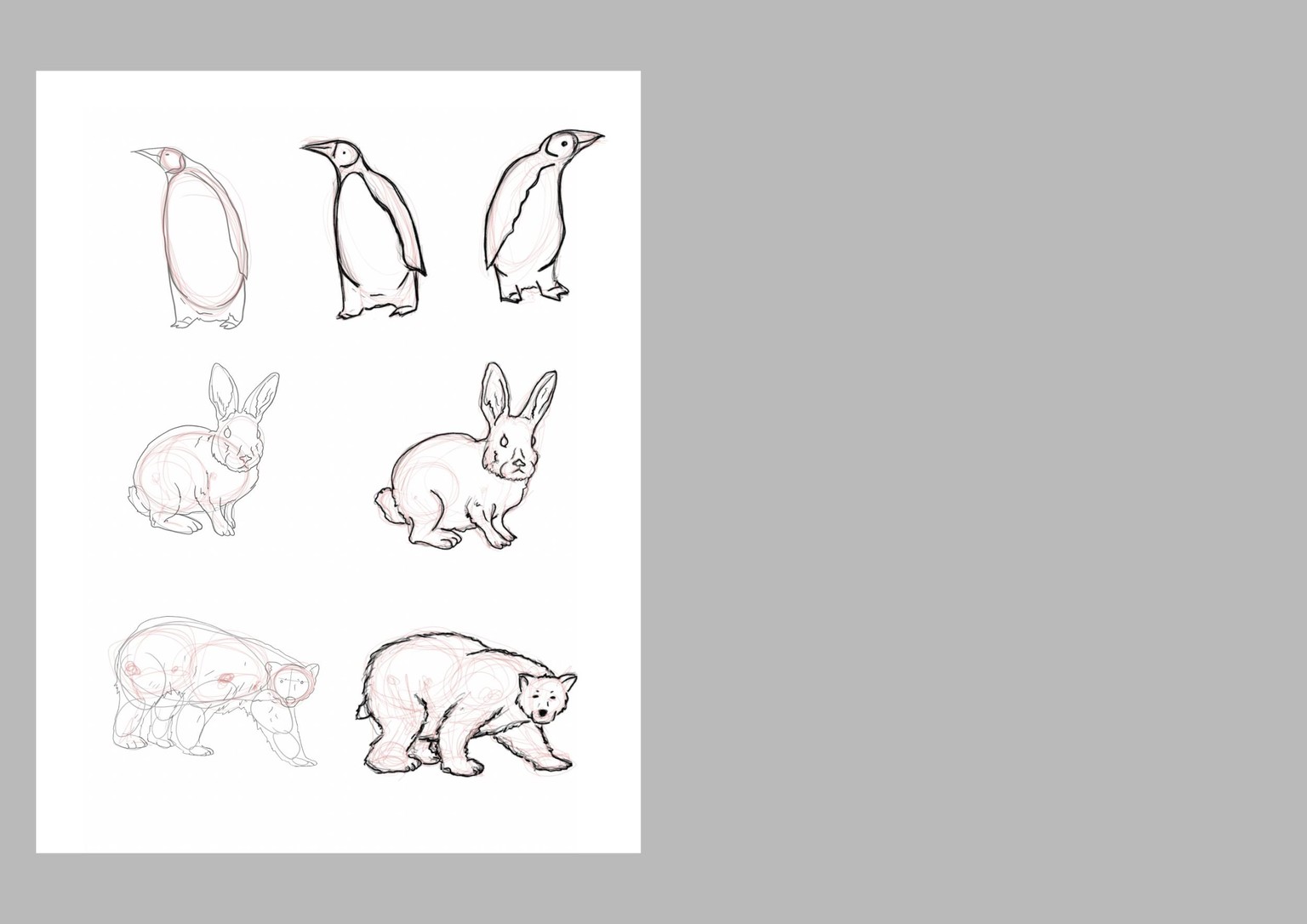How To Draw ANIMALS for Kids - image 2 - student project