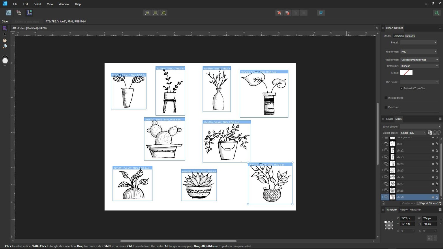 Beginner's Guide to Affinity Designer for iPad V2 | Export Persona - image 3 - student project