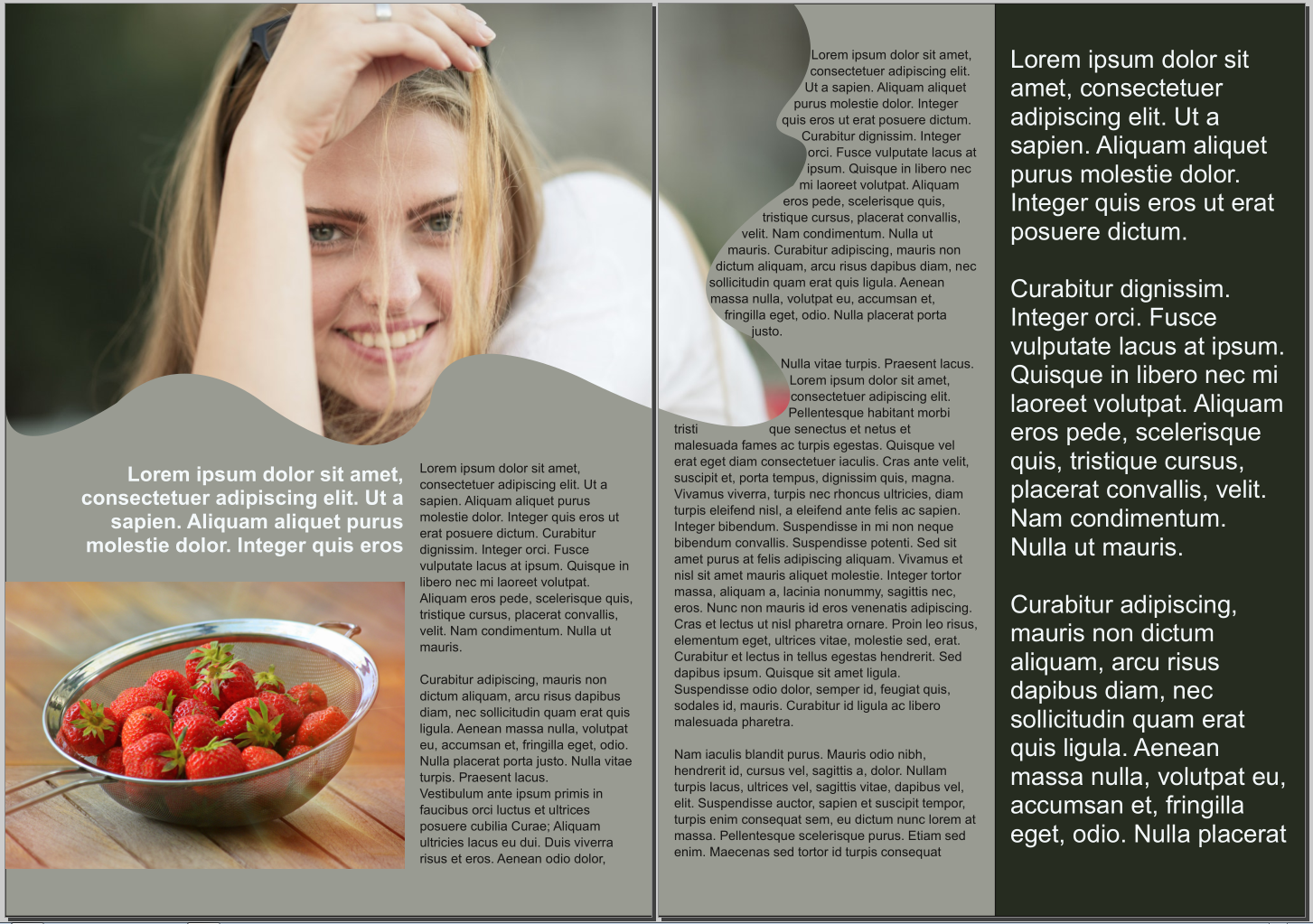 Scribus Beginner to Intermediate - image 1 - student project