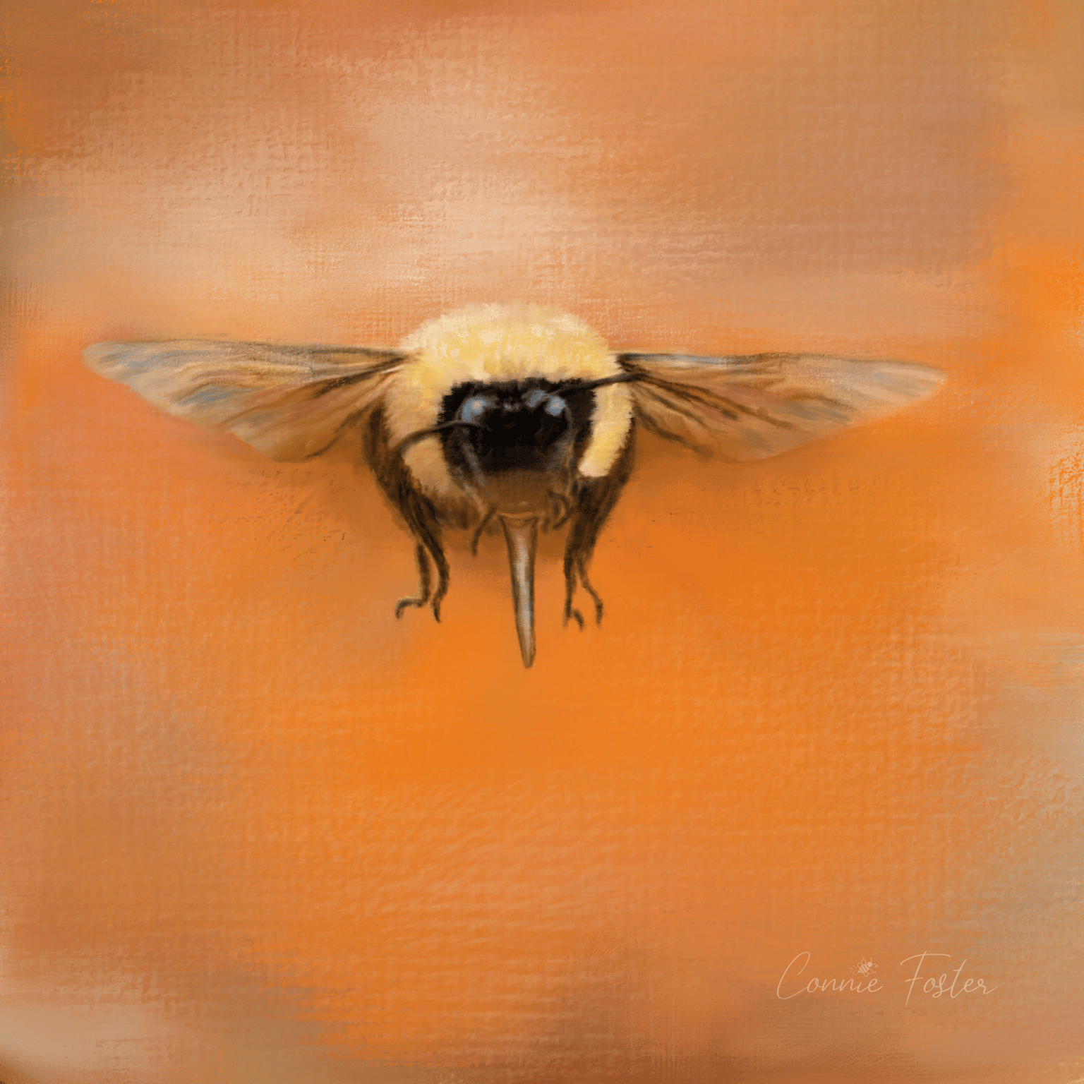 Jai's Bumblebee - image 1 - student project
