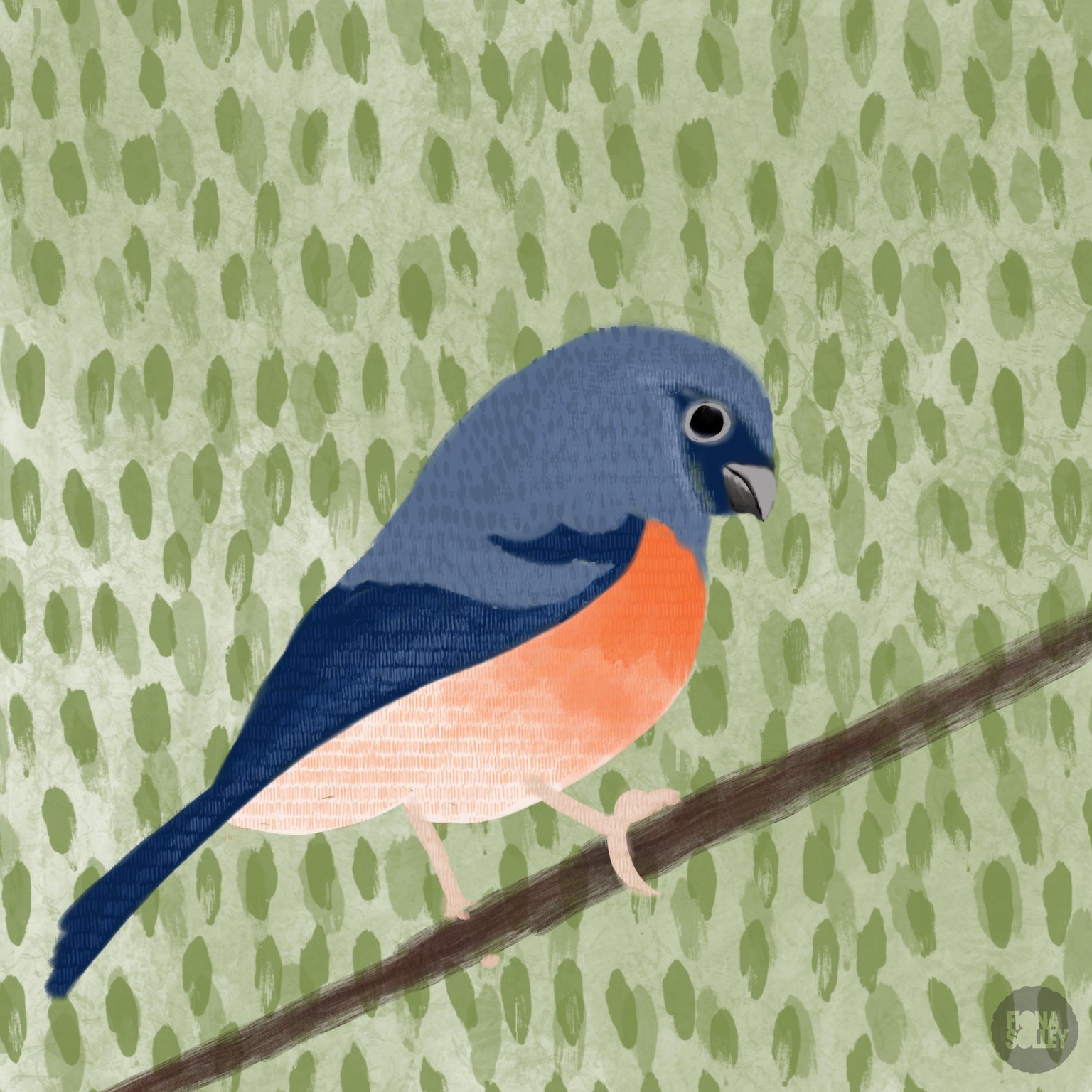 Textured Finch - image 1 - student project