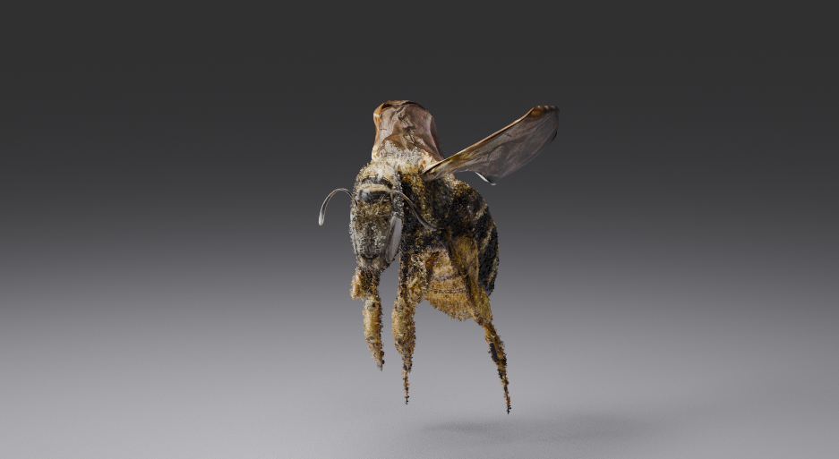 Bee - image 1 - student project