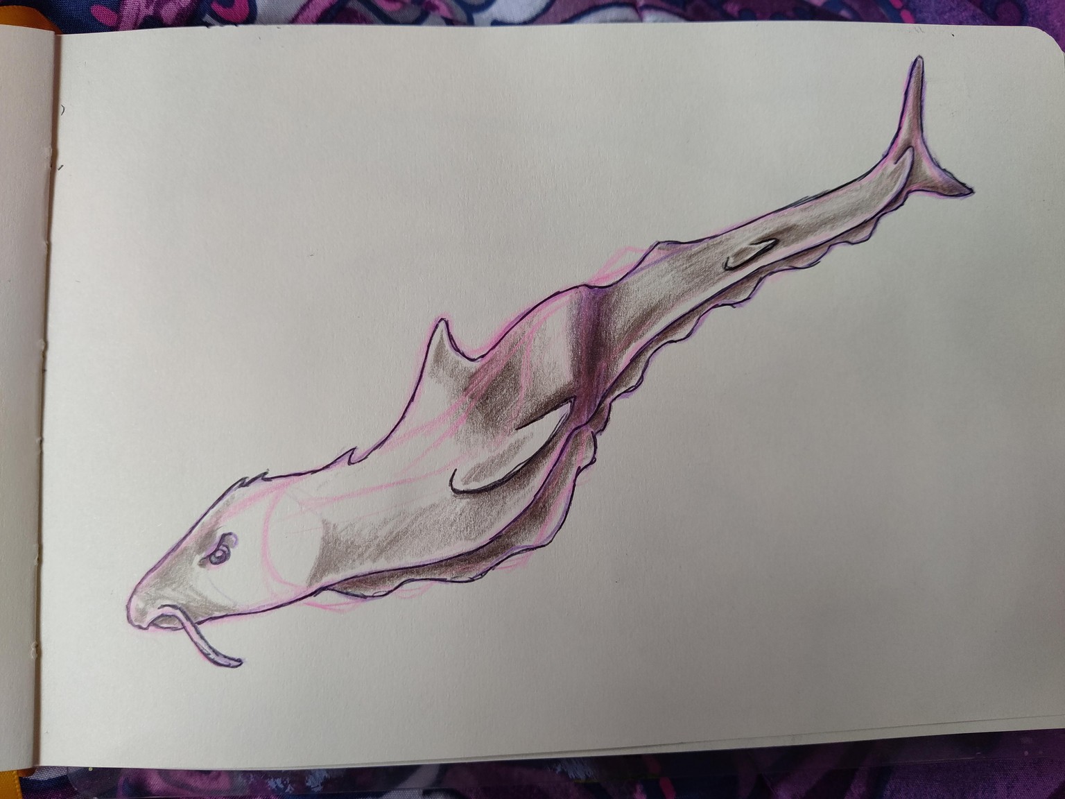 Complete 30 Exercises - image 22 - student project