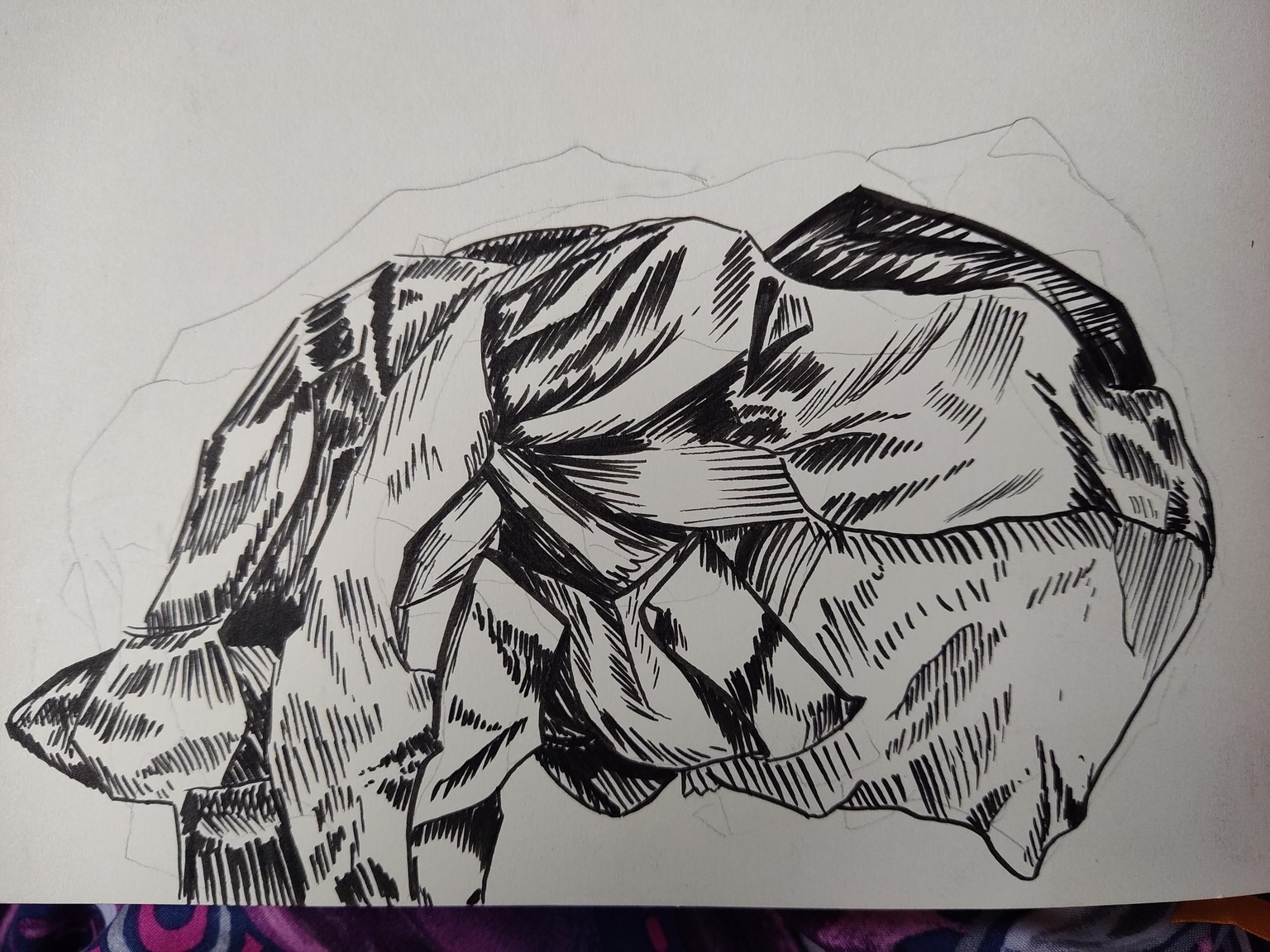 Complete 30 Exercises - image 7 - student project