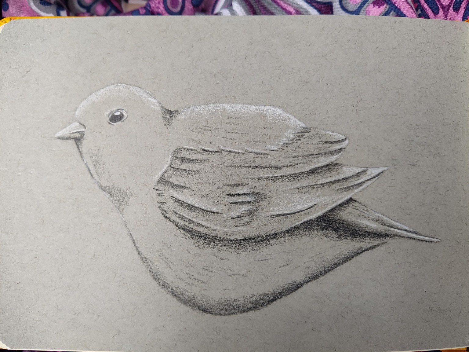 Complete 30 Exercises - image 5 - student project