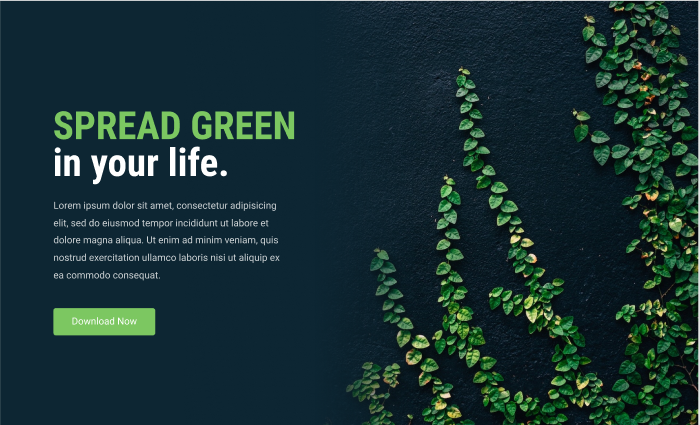 Complete Web Development - Figma to Webflow - image 14 - student project