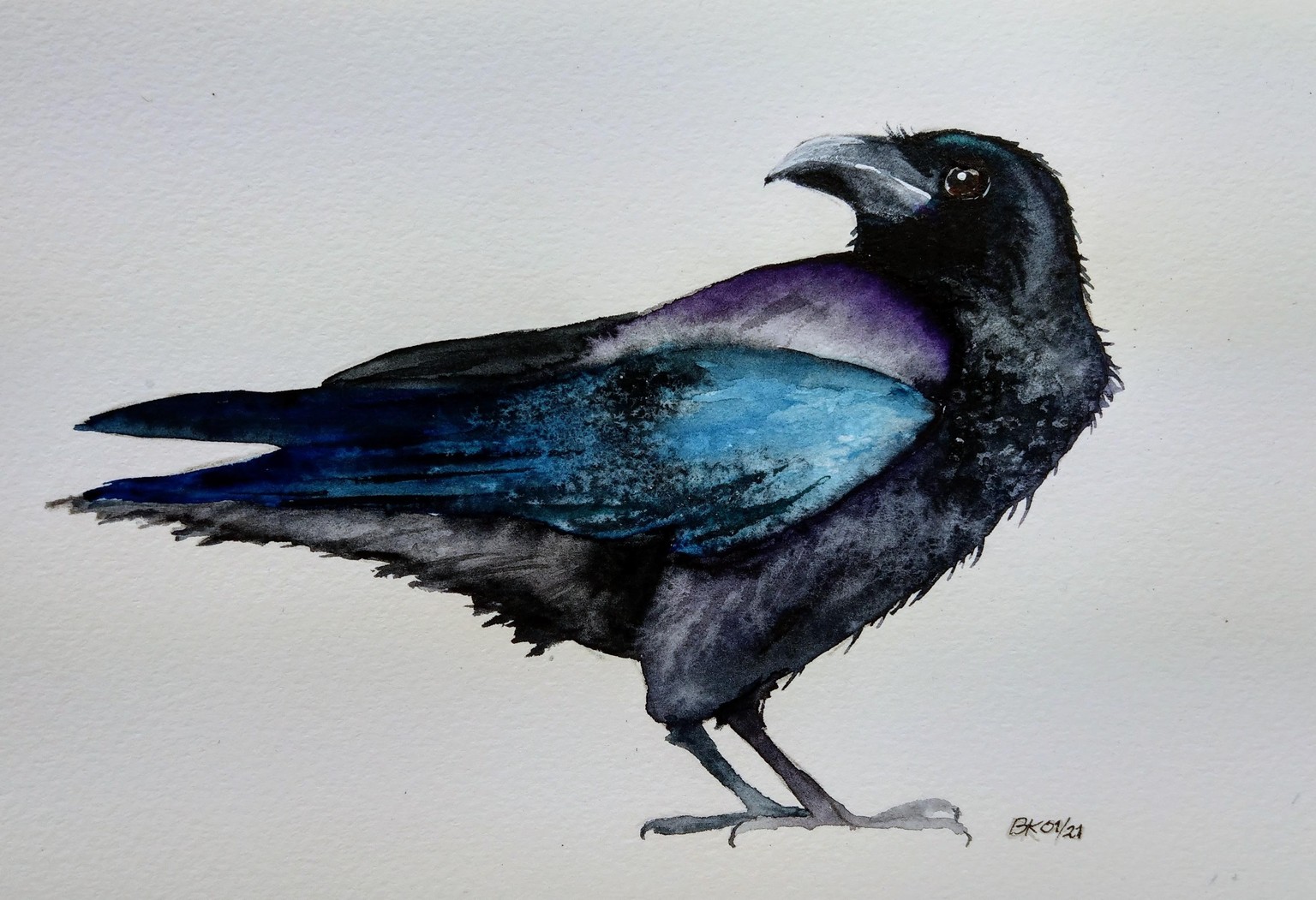 Never more, quoth the Raven - image 2 - student project