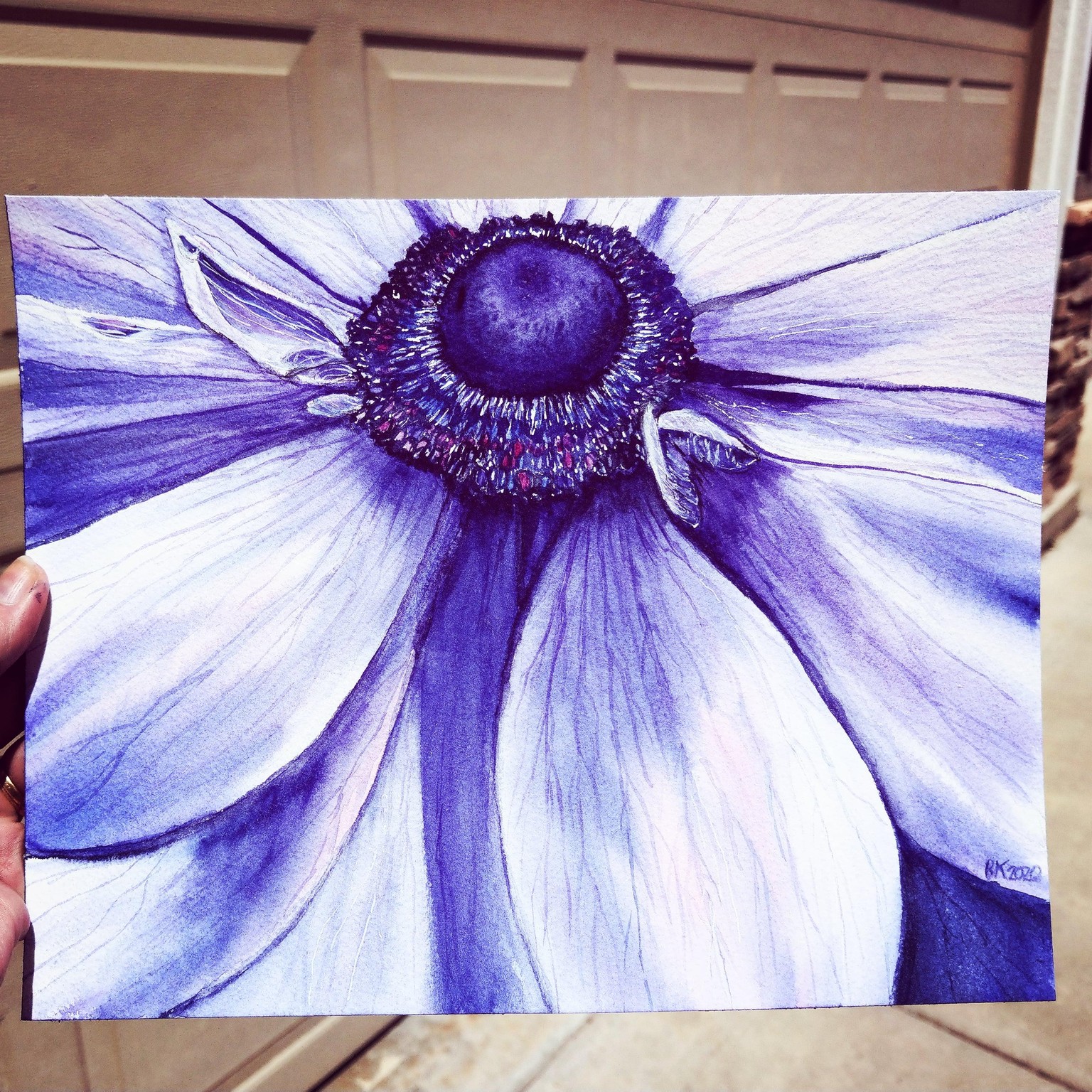 Anemone - image 1 - student project