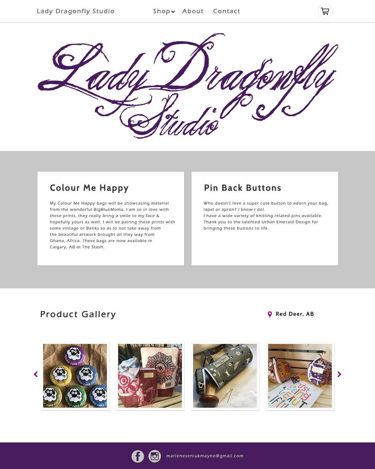 Lady Dragonfly Studio - image 1 - student project