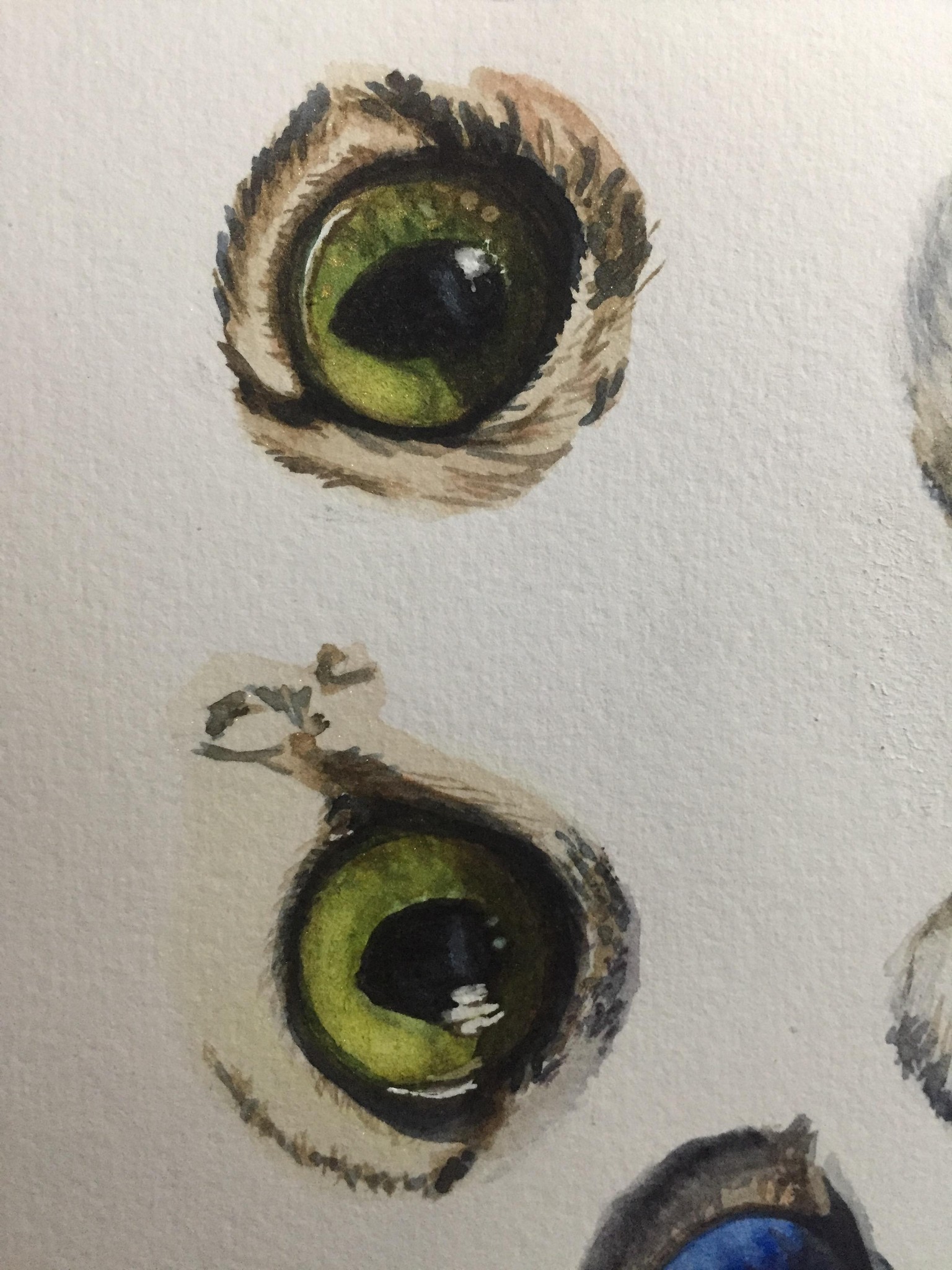 Eye, Eye, Captain! - image 2 - student project