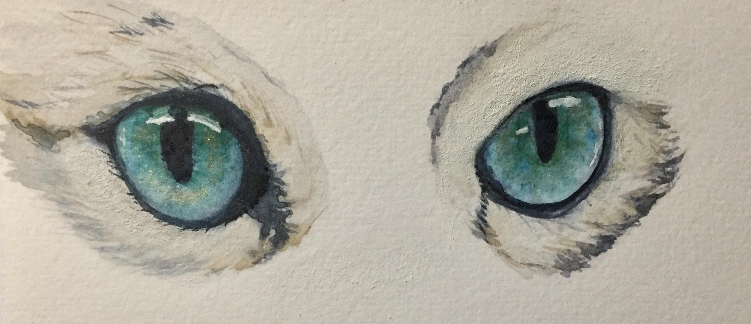 Eye, Eye, Captain! - image 4 - student project