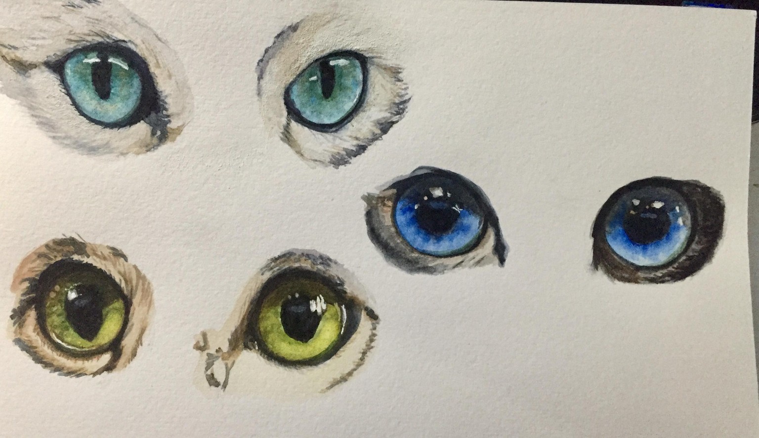 Eye, Eye, Captain! - image 1 - student project