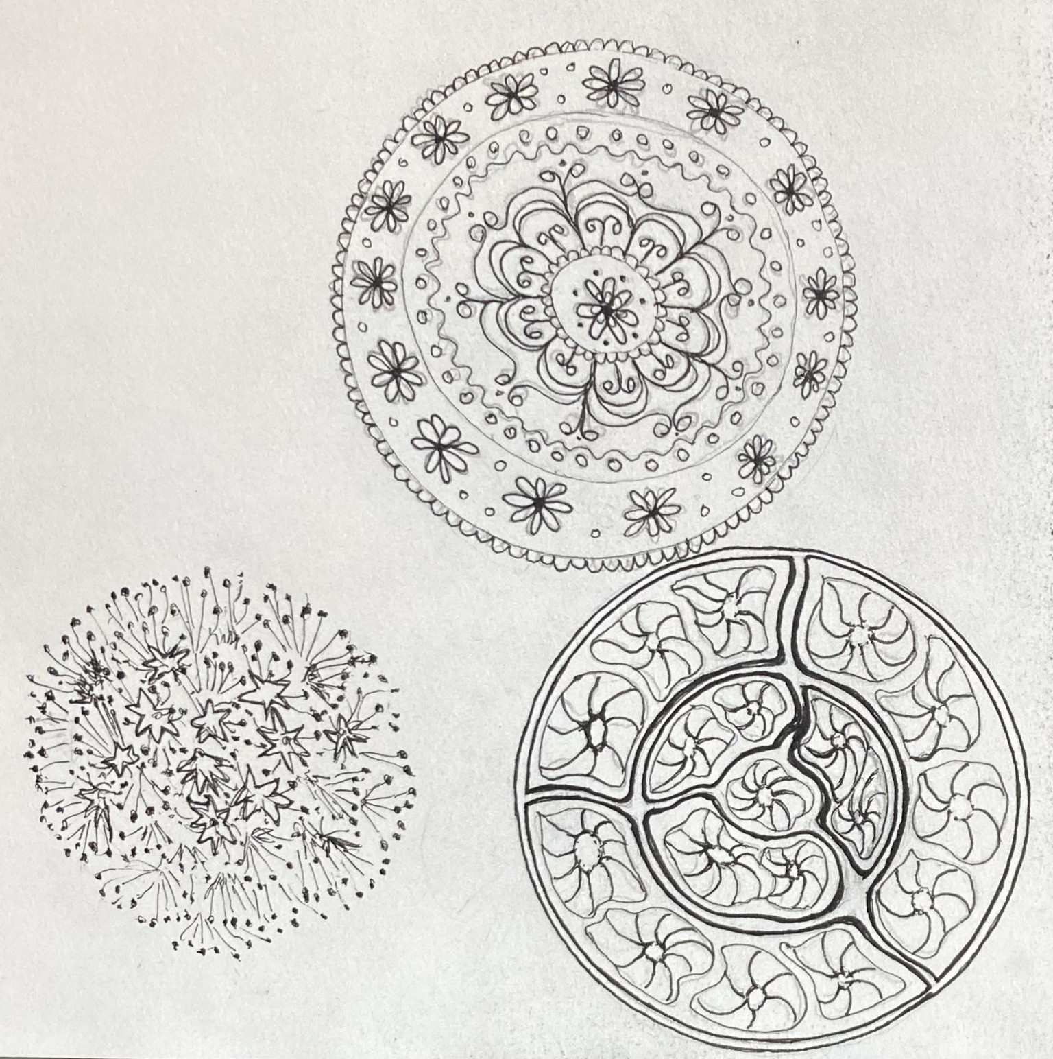 Botanical mandala doodles - image 2 - student project