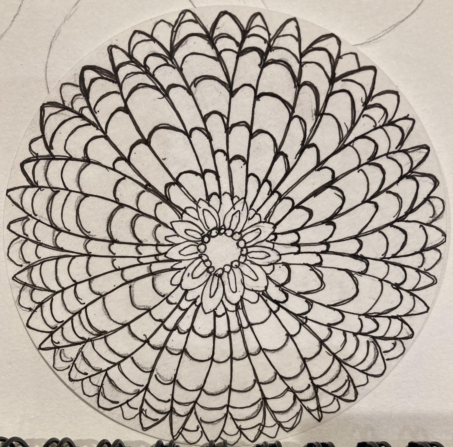 Botanical mandala doodles - image 4 - student project