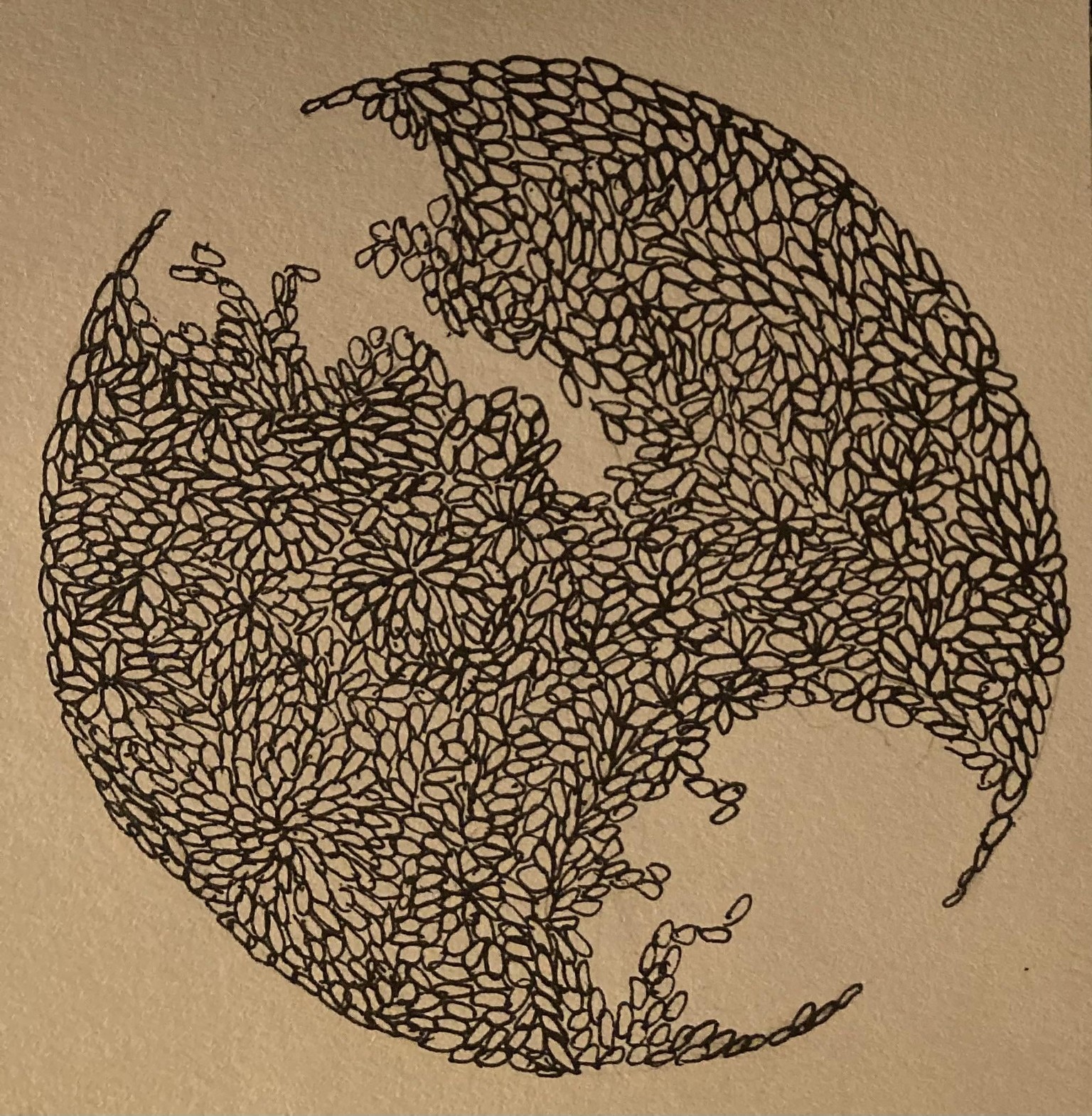 Botanical mandala doodles - image 1 - student project