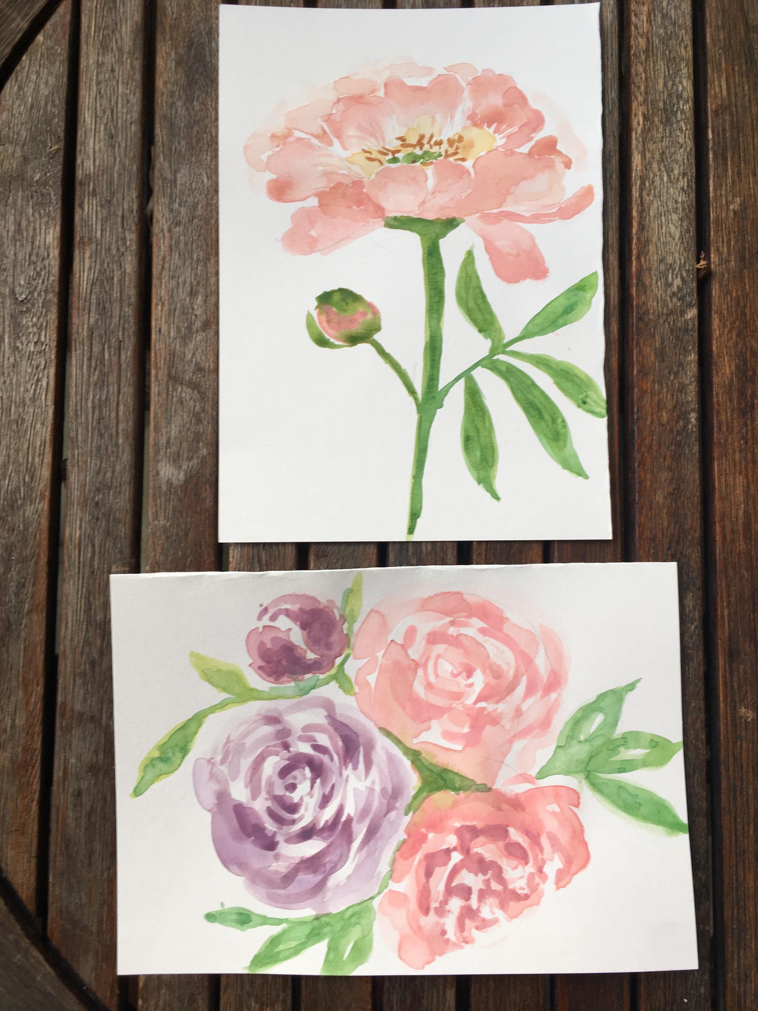 Peonies - image 1 - student project